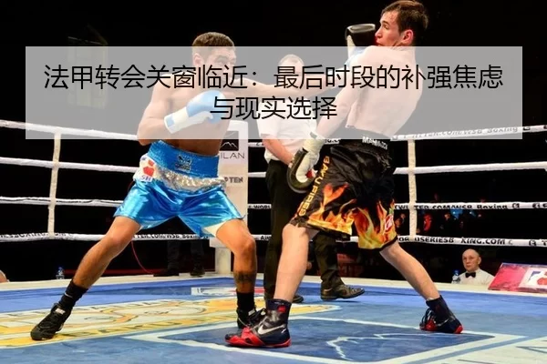 法甲转会关窗临近：最后时段的补强焦虑与现实选择